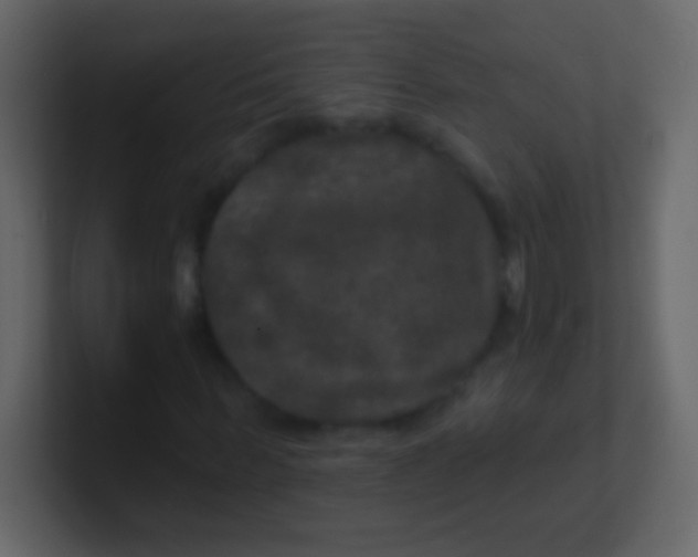 X0000100840963200807070930