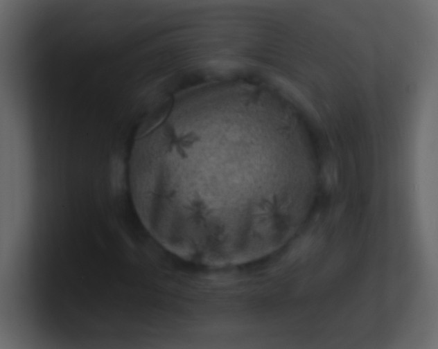 X0000100840964200807070930