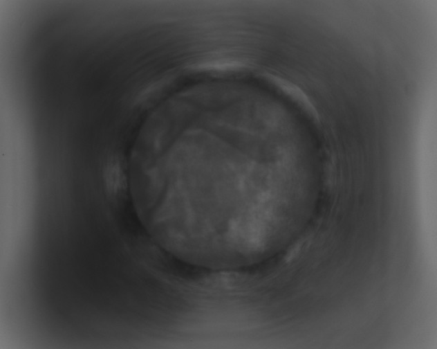 X0000100840966200807070929