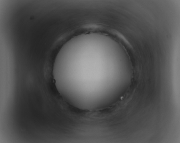 X0000100840967200807070929