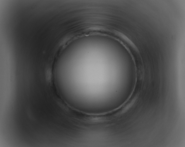 X0000100840969200807070929