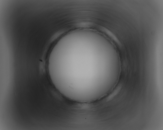 X0000100840970200807070929