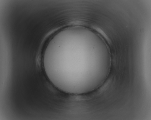 X0000100840971200807070929