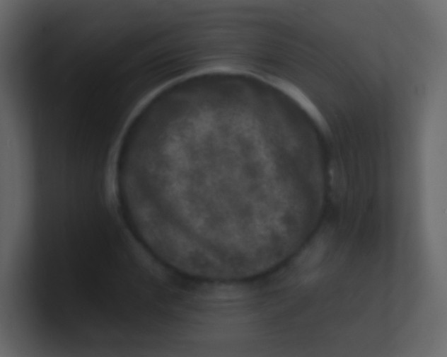 X0000100840972200807070929