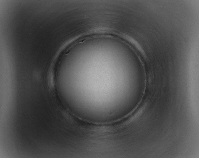 X0000100840973200807070929