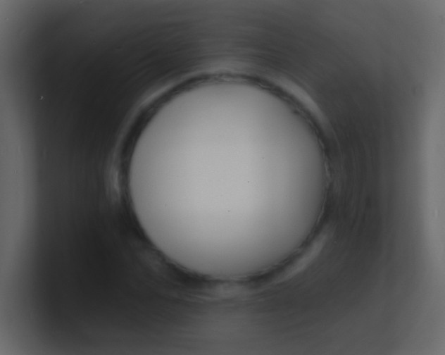 X0000100840974200807070929