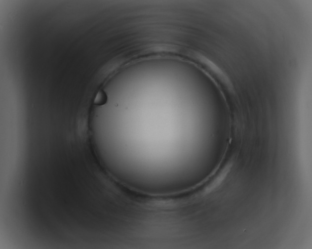 X0000100840977200807070929