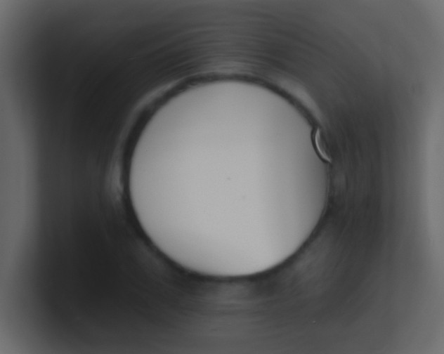 X0000100840979200807070929