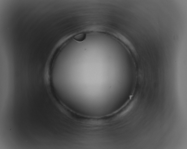 X0000100840981200807070929