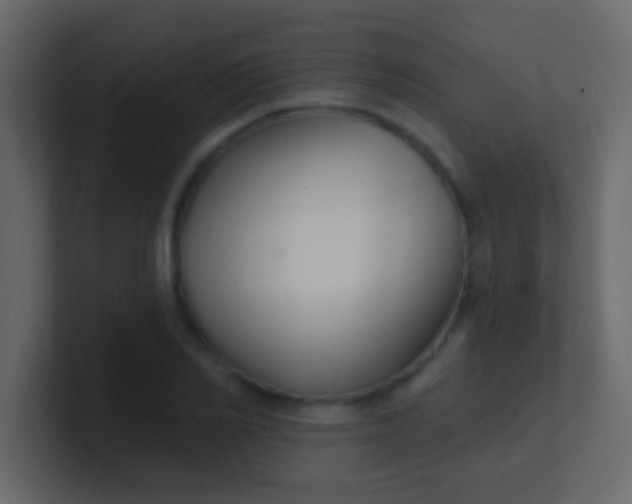 X0000100840982200807070929