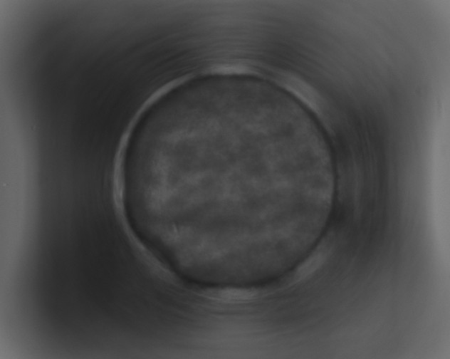 X0000100840984200807070929