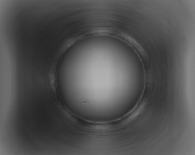 X0000100840985200807070929