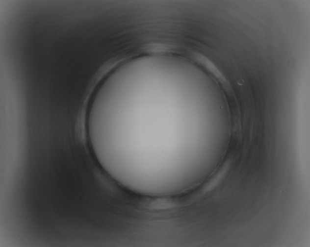 X0000100840986200807070929