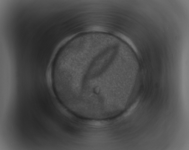 X0000100840987200807070929