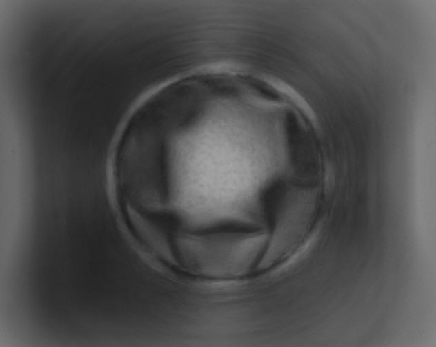 X0000100840989200807070929