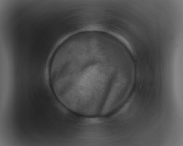 X0000100840990200807070929