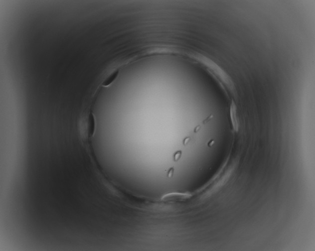 X0000100840993200807070929