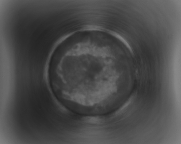 X0000100840995200807070929