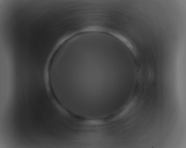 X0000100840998200807070929