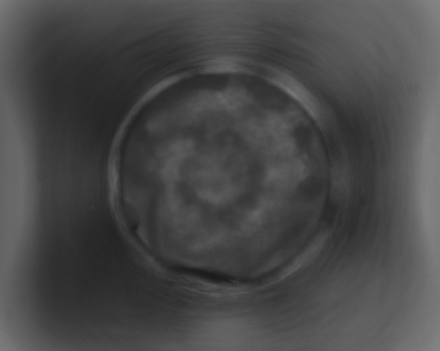 X0000100841000200807070929