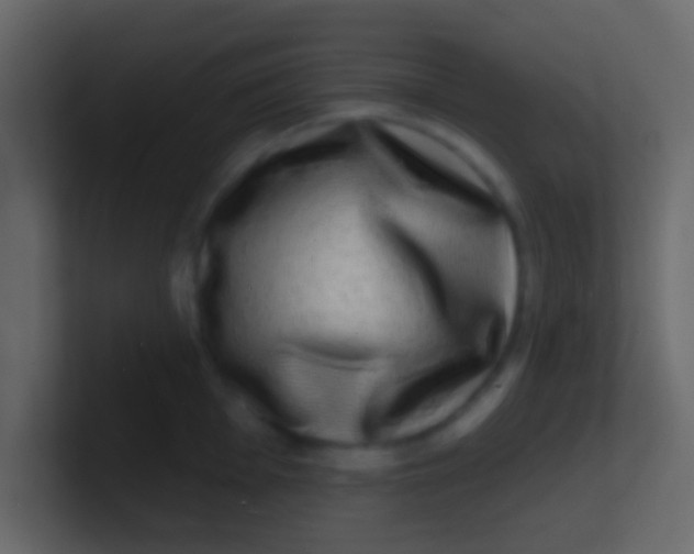 X0000100841001200807070929