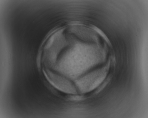 X0000100841002200807070929