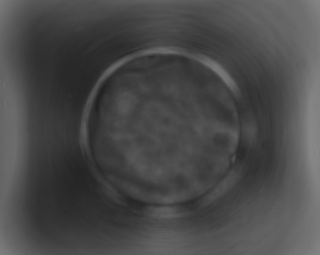 X0000100841004200807070929