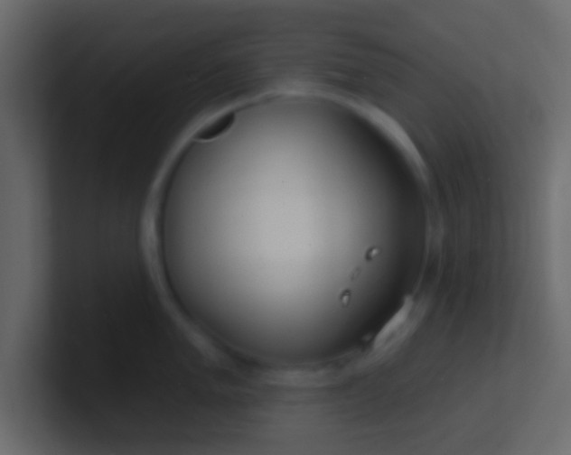 X0000100841005200807070929