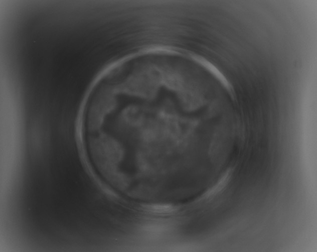 X0000100841007200807070929