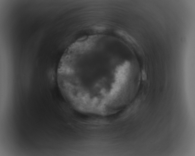 X0000100841011200807070928