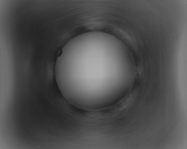 X0000100841012200807070928