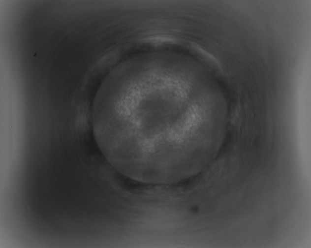 X0000100841014200807070928