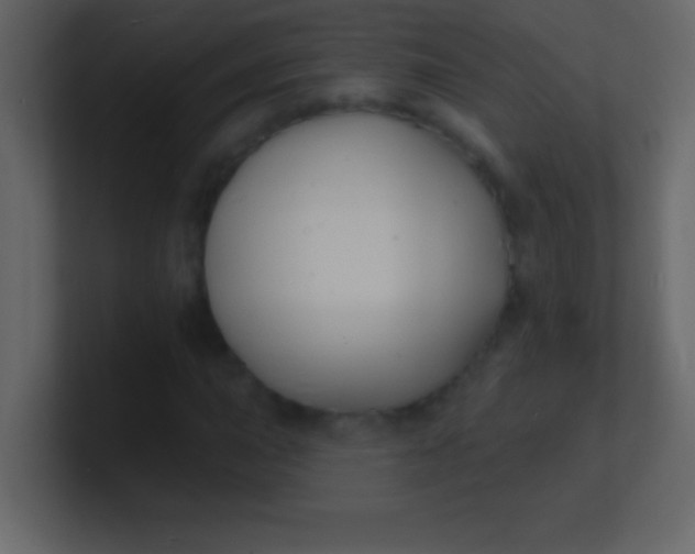 X0000100841015200807070928