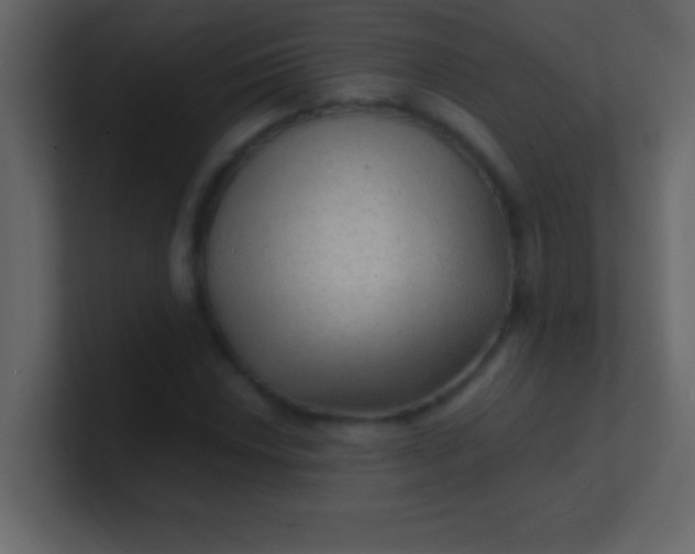 X0000100841018200807070928