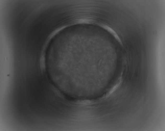 X0000100841019200807070928