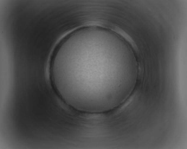 X0000100841020200807070928