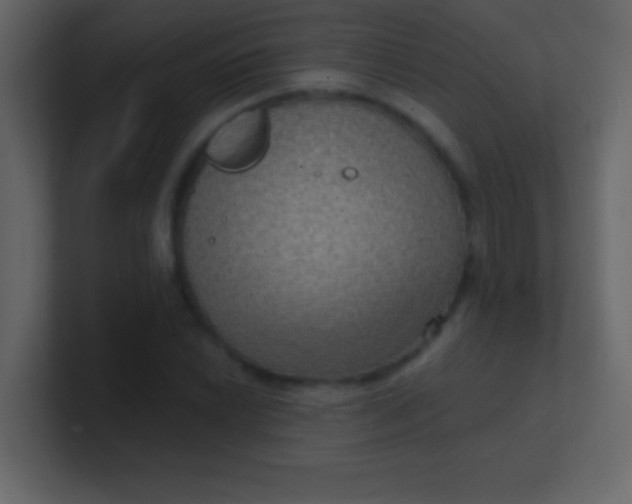 X0000100841022200807070928