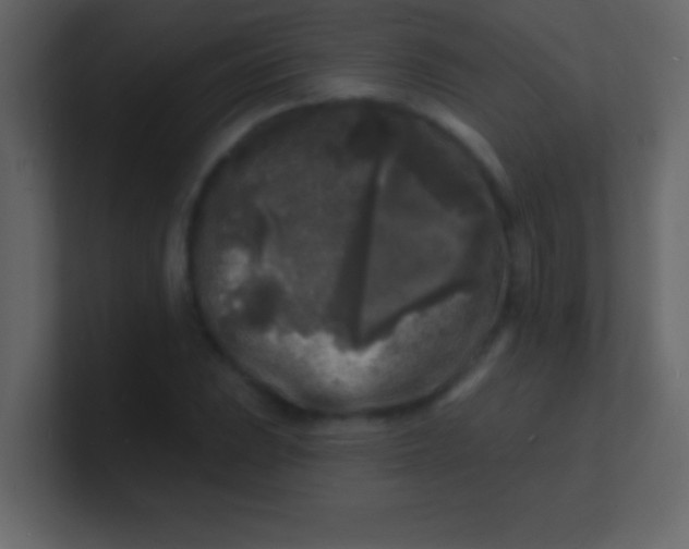 X0000100841023200807070928