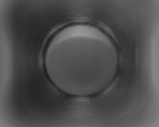 X0000100841024200807070928