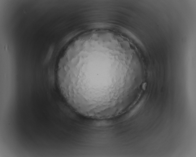 X0000100841025200807070929