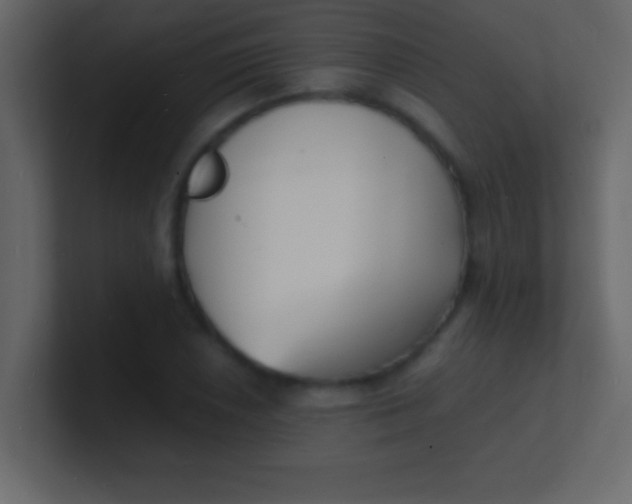 X0000100841026200807070929