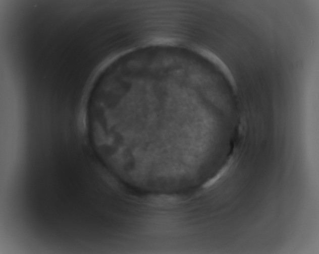 X0000100841027200807070929