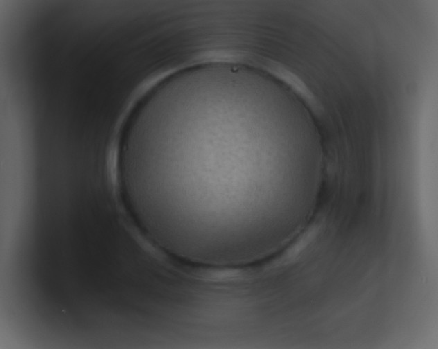 X0000100841030200807070929