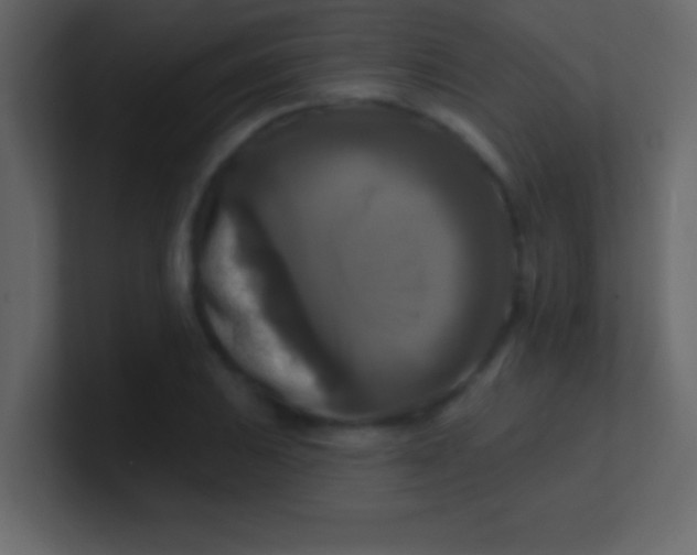 X0000100841031200807070929