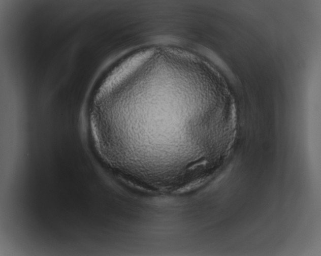 X0000100841032200807070929