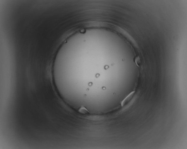 X0000100841033200807070929