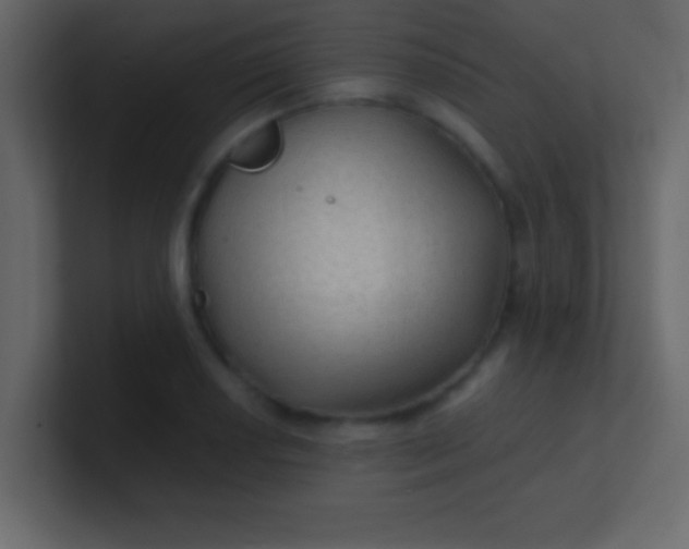 X0000100841034200807070929