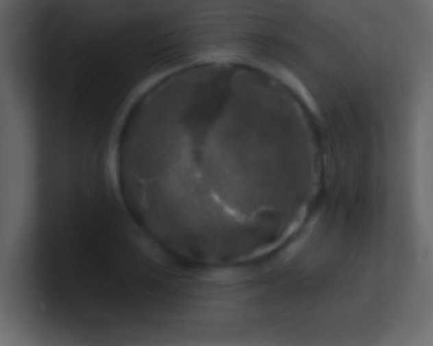 X0000100841035200807070929