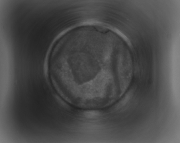 X0000100841037200807070929