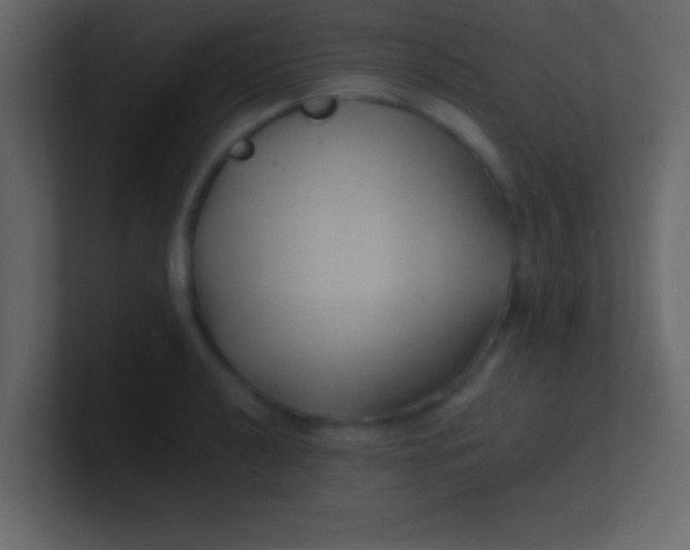 X0000100841040200807070929